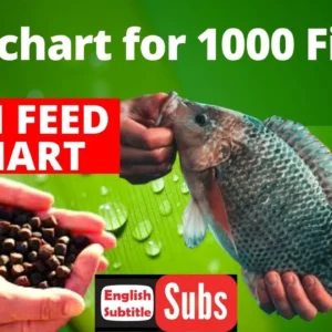 FISH FOOD