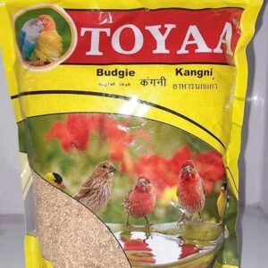 The Birds Toya kangni 500g Millet (Kangni), Bird Food for All Life Stages Canary, Finches, Waxbills, Budgies, Lovebirds, Cockatiels, Parrots & Parakeets,