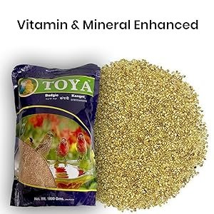 Toya Budgie Bird Food{kangni} - 1kg (1000Gm) (Kangni) Natural & Healthy Premium Mix Seeds All Life Stages